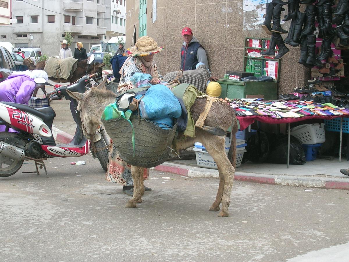 Dar Es Salam-Alta Villa Asilah Exteriör bild